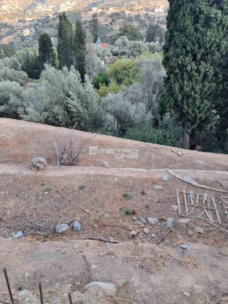 Giardino - Buildable Plot with Open Views in Andros