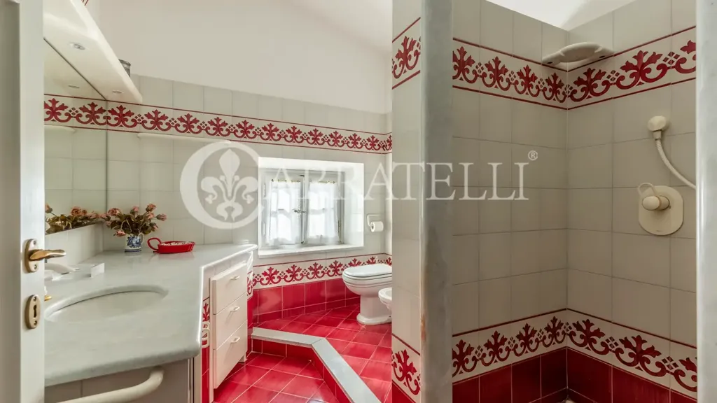 Vannitoad - Historic Villa with Olive Grove in Capannori