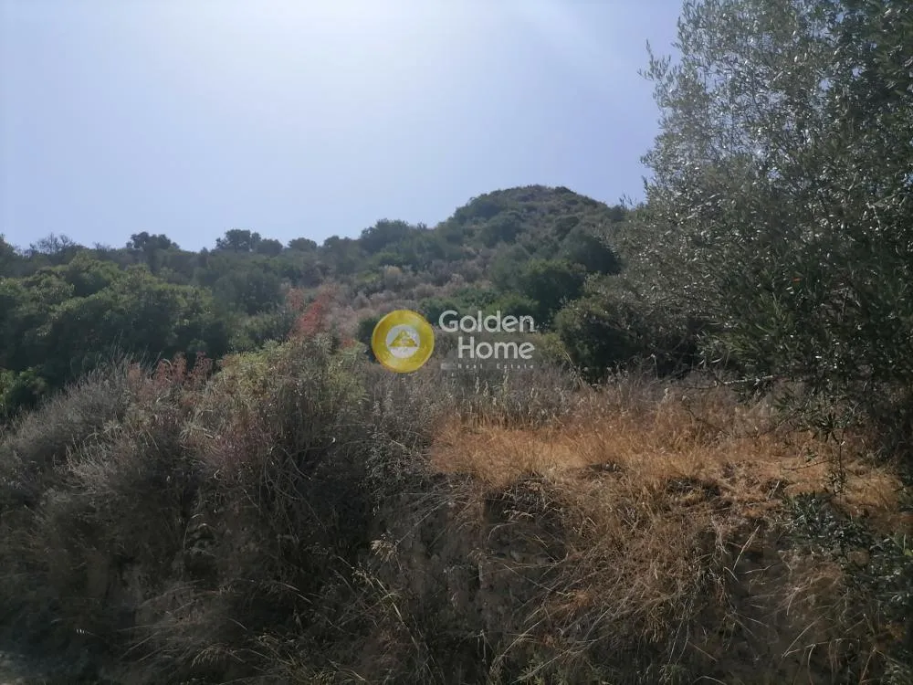 Aed - Agricultural Land with Unrestricted View in Phaistos