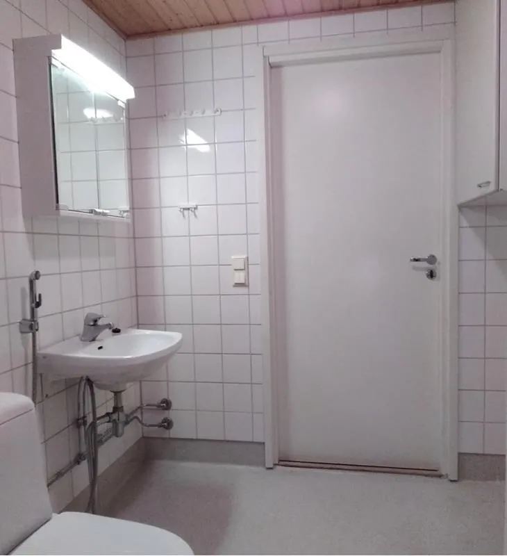 Vannitoad - Loft with Sauna in Talvikangas, Oulu