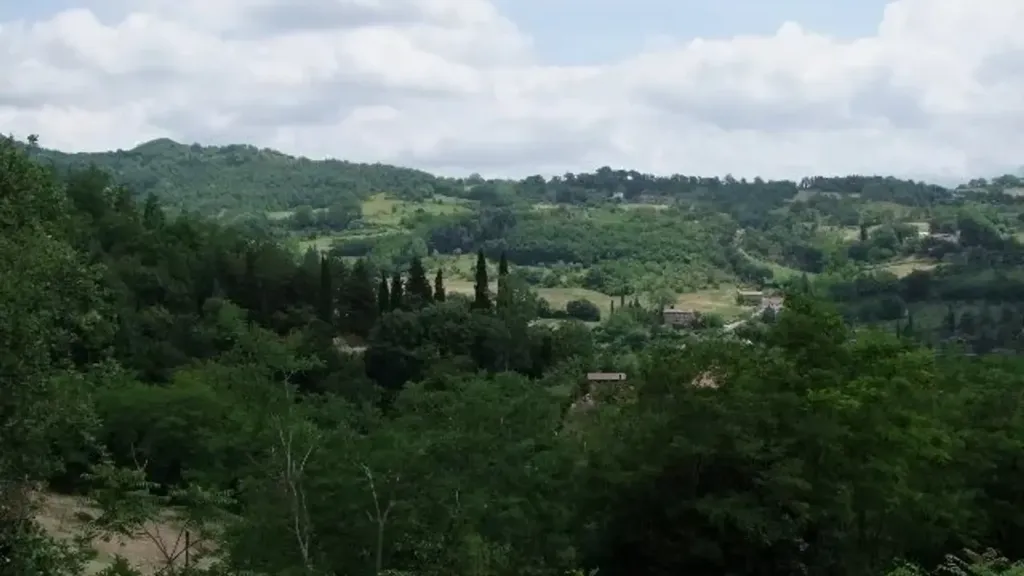 Rustic Villa with Olive Grove in Dicomano