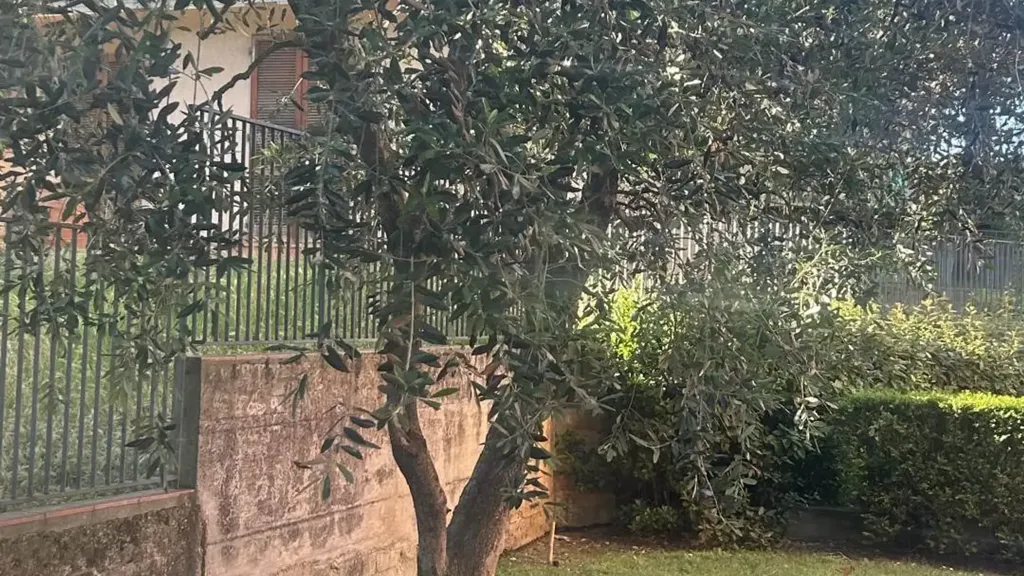 Aed - Panoramic Apartment with Balcony in Florence