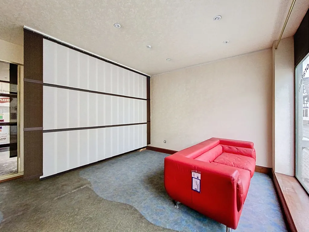 Séjour - Appartement 5 Pièces avec Dépendances à Wolfisheim