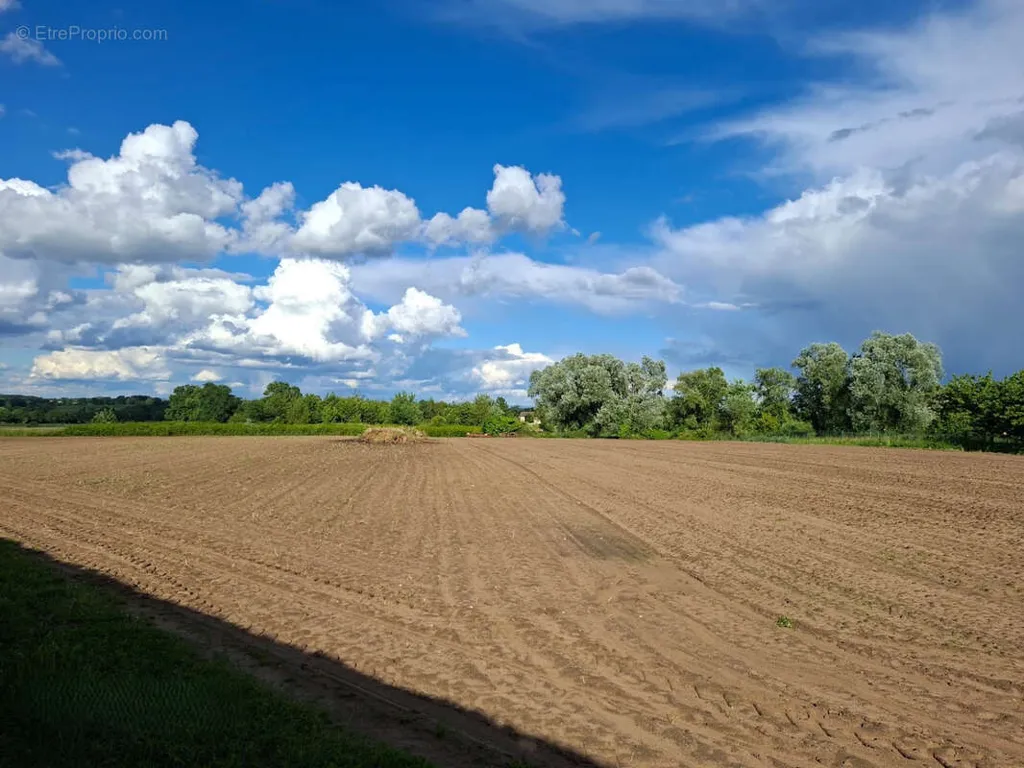 Aed - Buildable Land with Garden in Bâgé-Dommartin