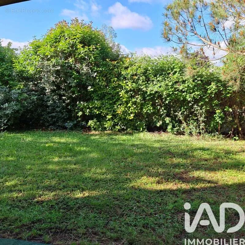 Jardin - Appartement avec Terrasse et Piscine à Montauban