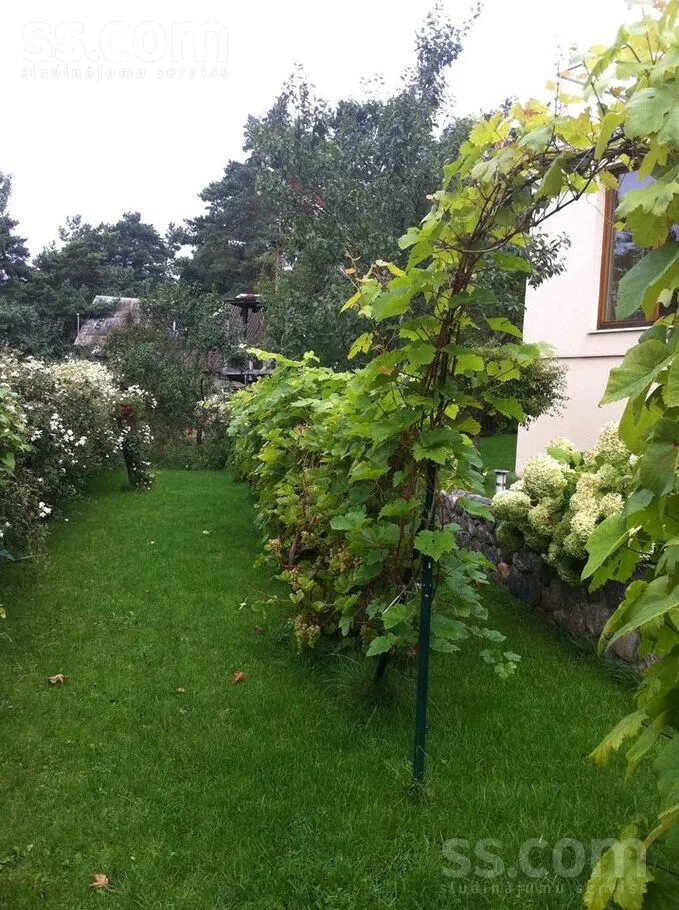 Giardino - Apartment with Lake View in Riga's Berģi