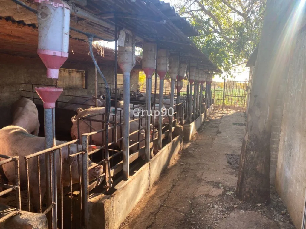 Jardin - Pig Farm with Cultivation in Cabanes