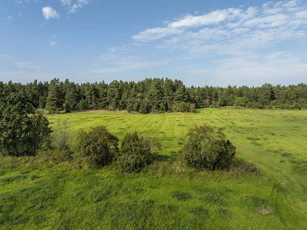 Jardin - Plot with Potential for Cottage in Meiuste