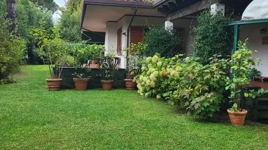 Jardin - Villa with Pool in Forte Dei Marmi