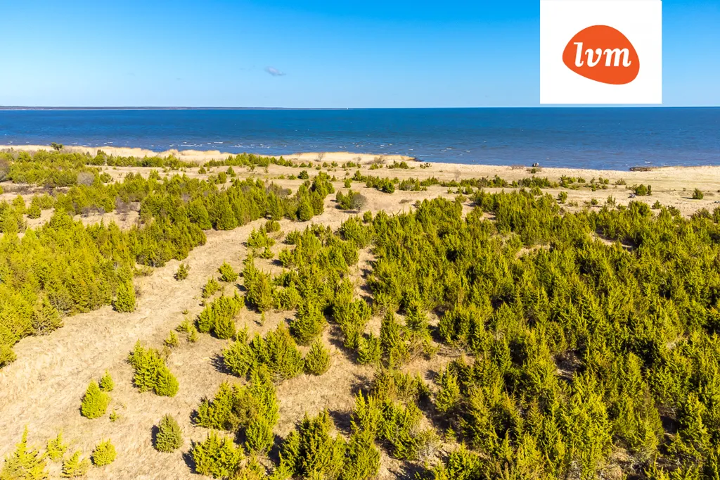 Kinnisvara asukohas Saaremaa