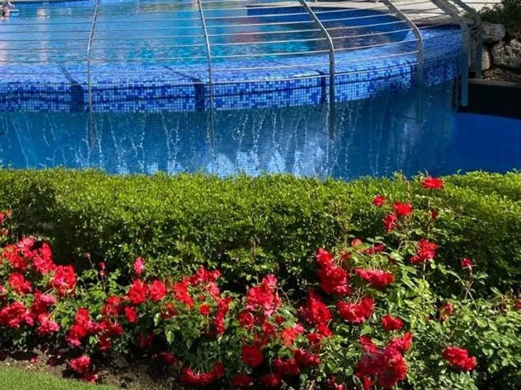 Bassein - Ground Floor Beachfront Flat in Estepona