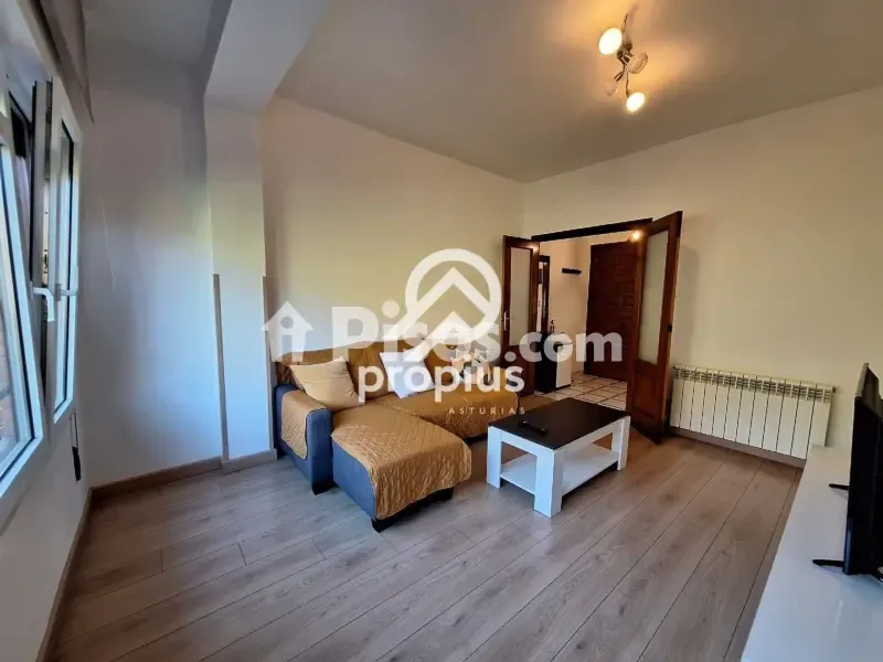Séjour - Reformed 2-Bed Flat with Terrace in Cangas de Onís