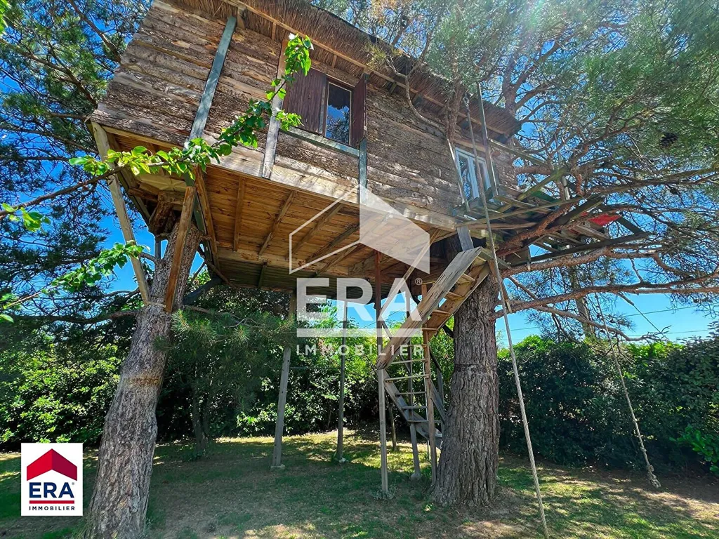 Esterno - Spacious House with Pool in Bédarrides