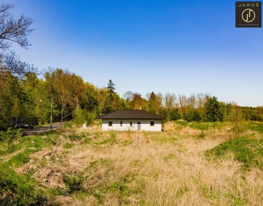 Garden - Detached House with Large Plot in Dobříčany