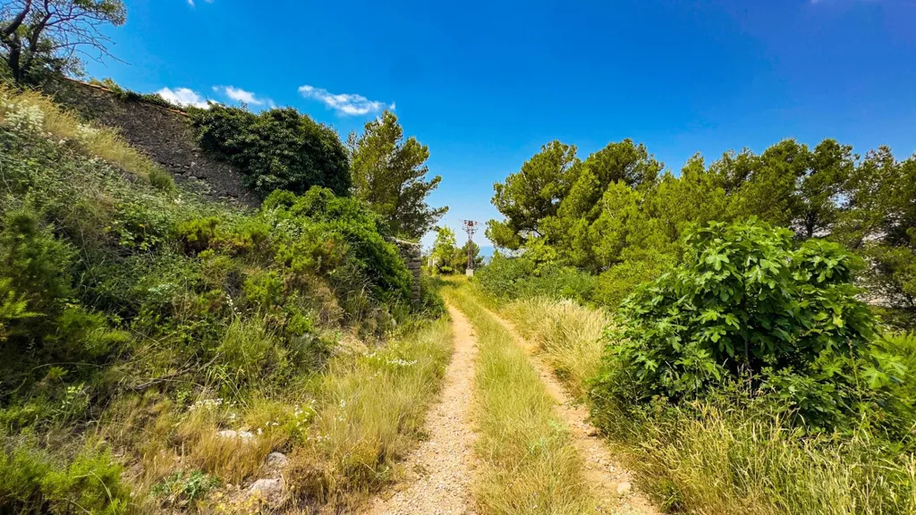 Aed - Eco-Resort Platform with DIC in Sierra Engarcerán