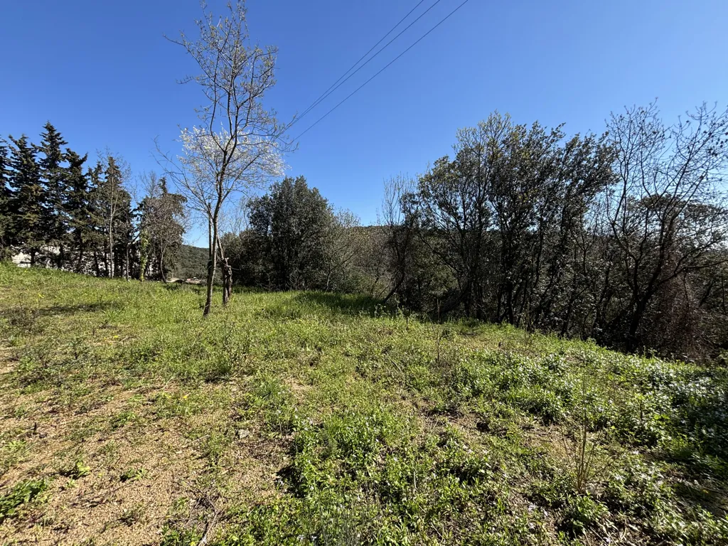 Giardino - Constructible Plot with South Exposure in Roquessels