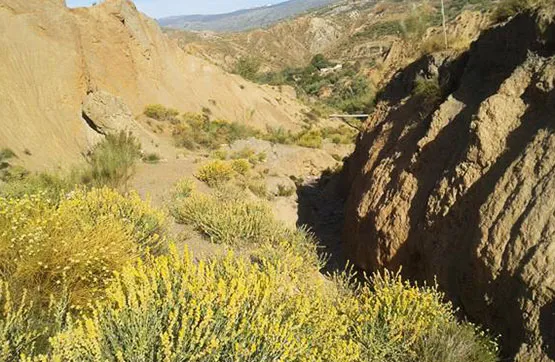 Terrain à Nevada