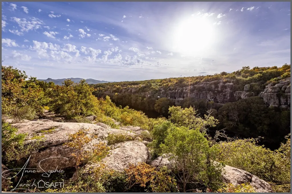 Exceptional Villa with River Access in Ardèche Gorges