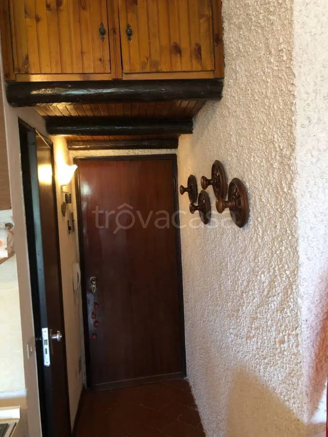 Entrée - Studio Apartment with Balcony in Roburent