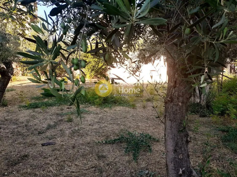 Jardin - Corner Plot with Park View in Metamorphosi, Attica