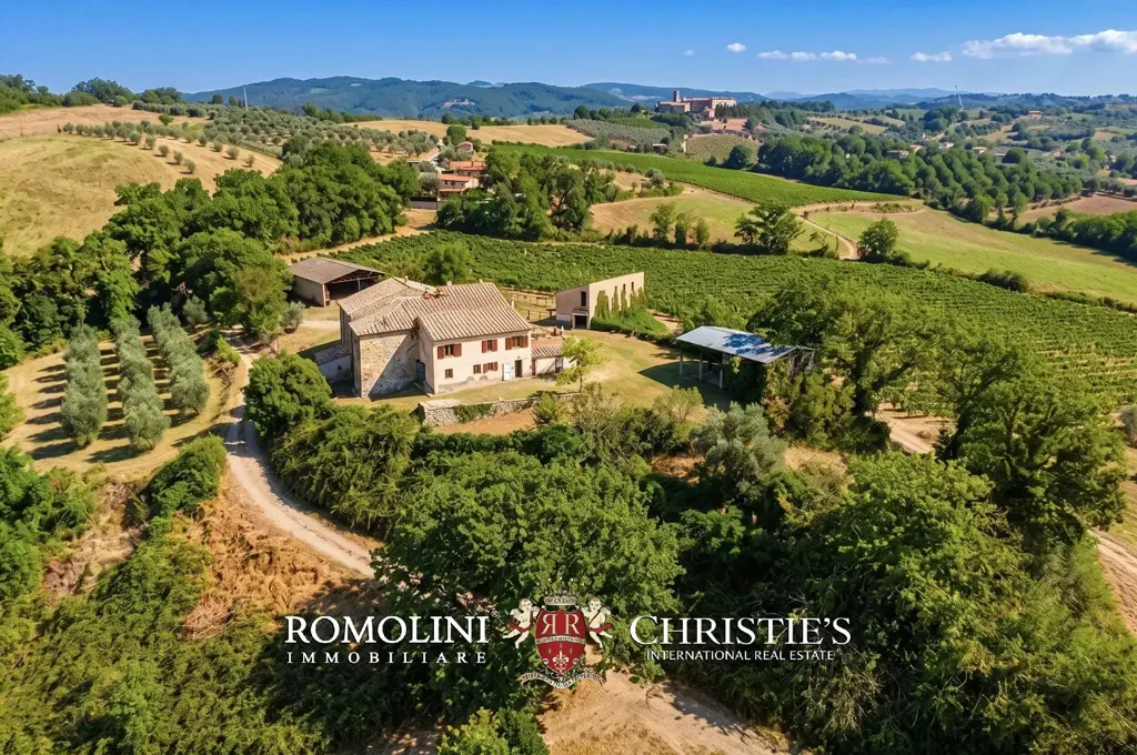 Õhuvaade - Rustic Casale with Vineyard near Orvieto