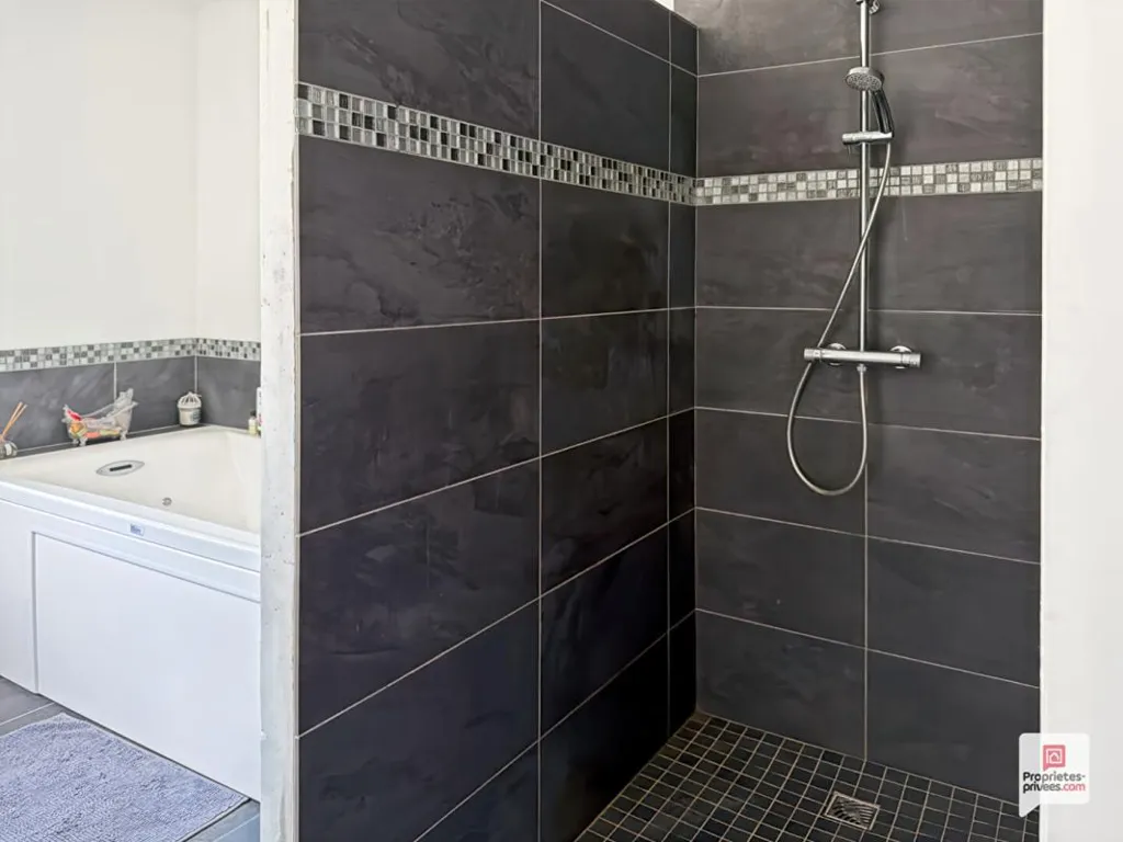Vannitoad - Newly Built House with Pool in Precigne