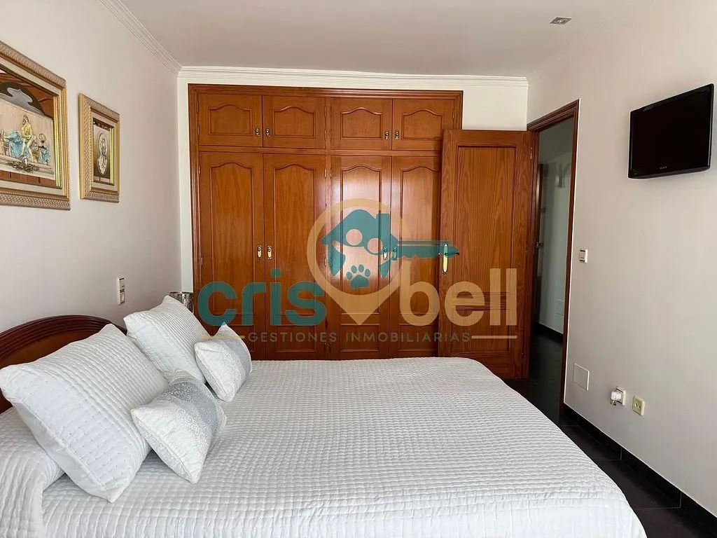 Magamistoad - Spacious Apartment with Terrace in San Cristóbal
