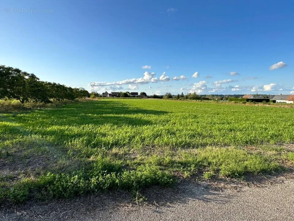 Aed - Buildable Plot with Garden in Nouzilly