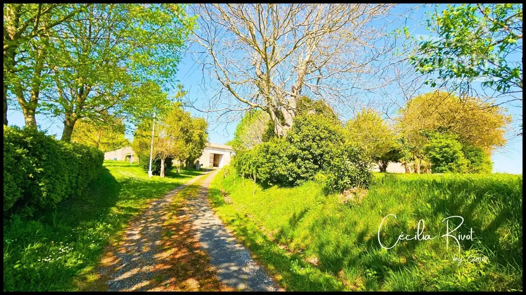 Extérieur - Maison de luxe avec piscine à Saint-Martial-de-Mirambeau