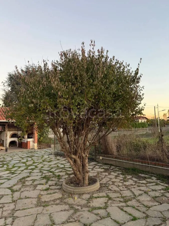 Aed - Duplex Villa with Panoramic View in Cercenasco