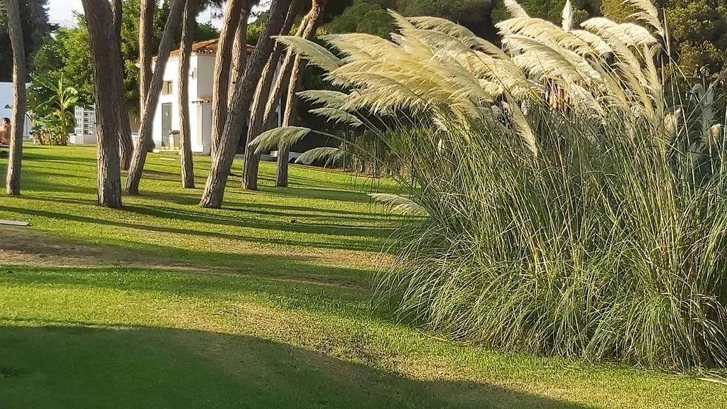 Aed - First-Line Beach Apartment with Pool in Ur Algaida