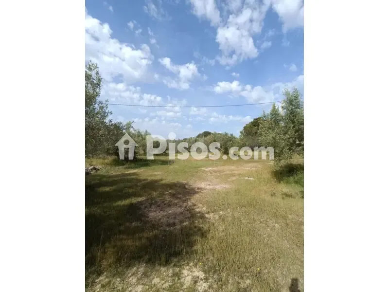 Aed - Rustic Finca with Sea Access in Lametlla de Mar