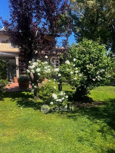 Aed - Villa with Infinity Pool in Viterbo
