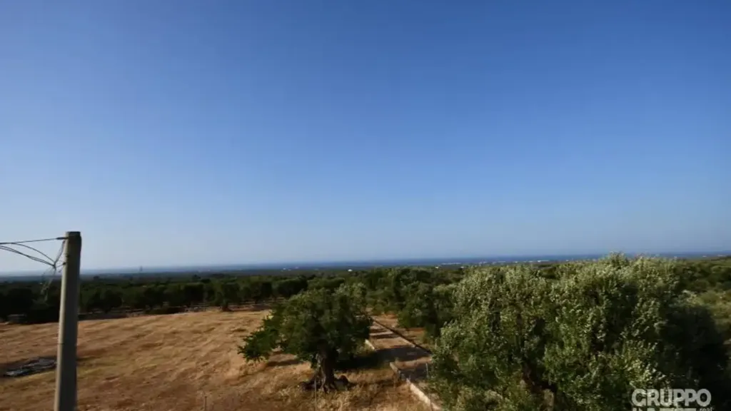 Jardin - Rustic Casali with Olive Grove in Ostuni