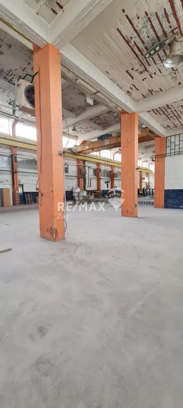 Toad - Industrial Space with Parking in Mandra