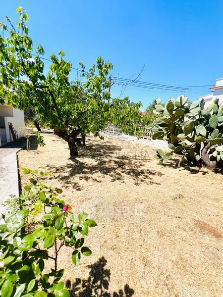 Aed - Villa with Trulli near Ostuni