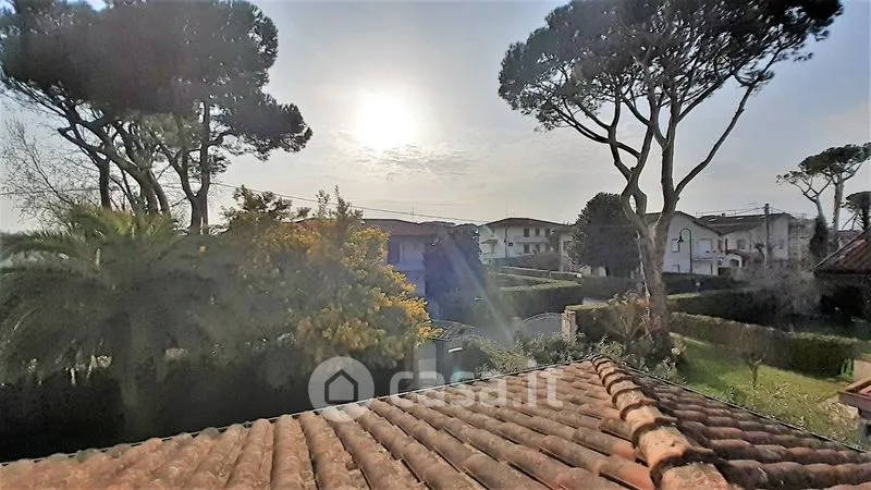 Jardin - Villa with Sea View in Cinquale, Montignoso