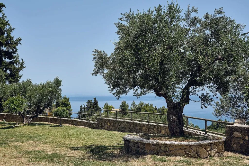 Jardin - Luxury Apartments with Olive Grove in Zakynthos