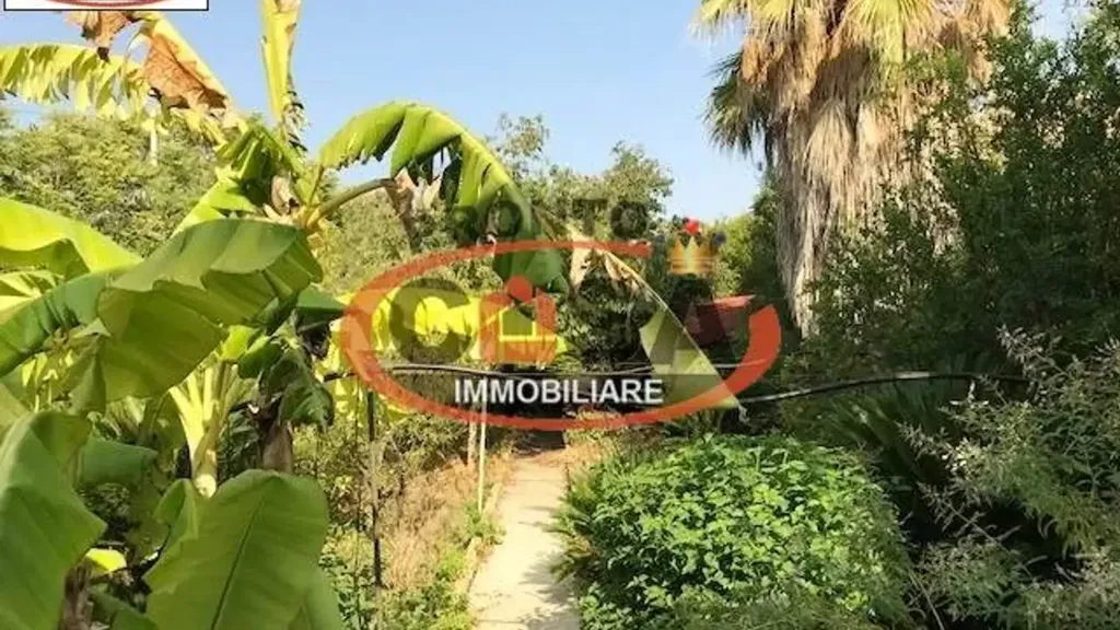 Jardin - Restored Villa with Olive Grove in Marsala