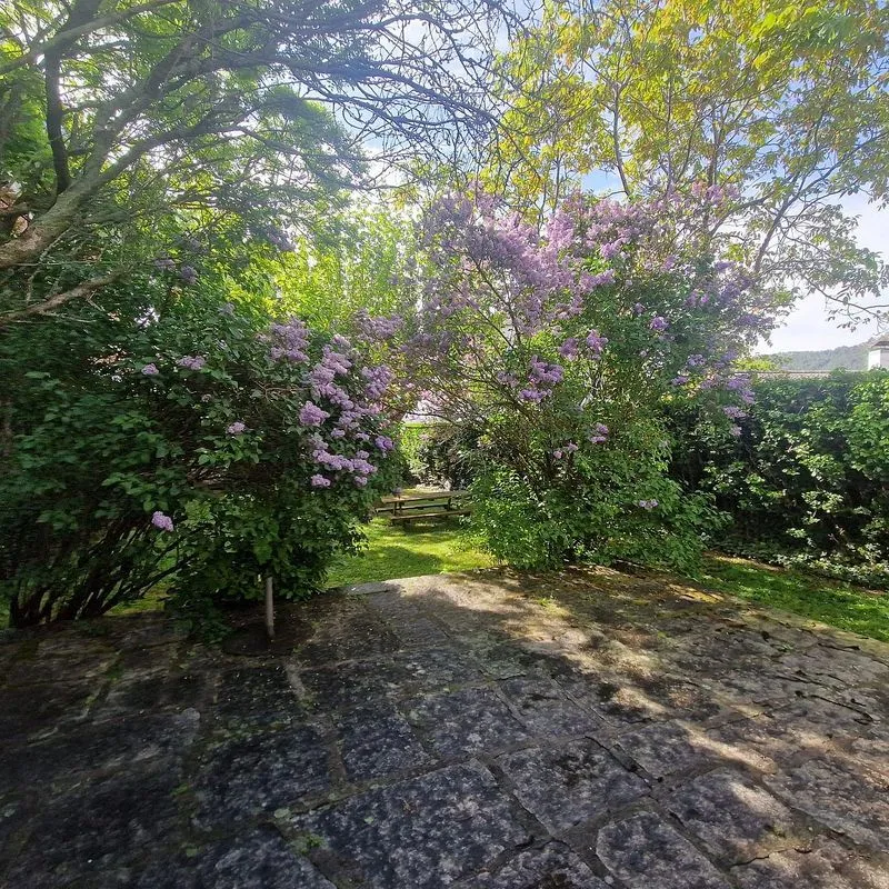 Jardin - Chalet with Garden in Bustarviejo