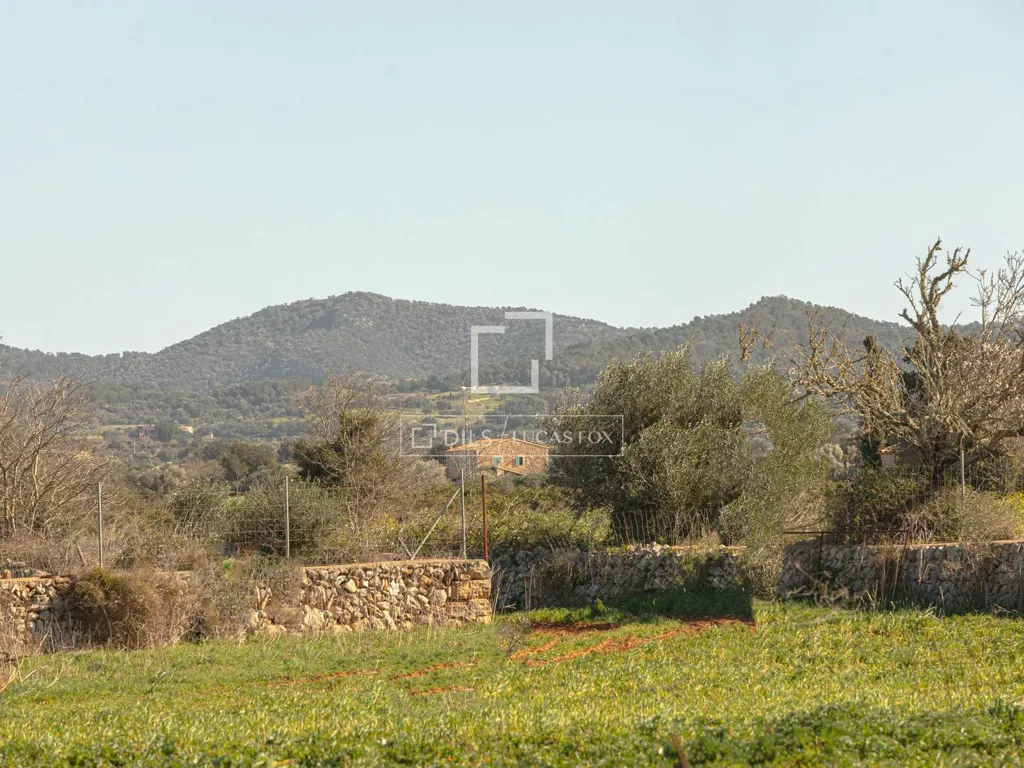 Jardin - Maison à Balearic Islands