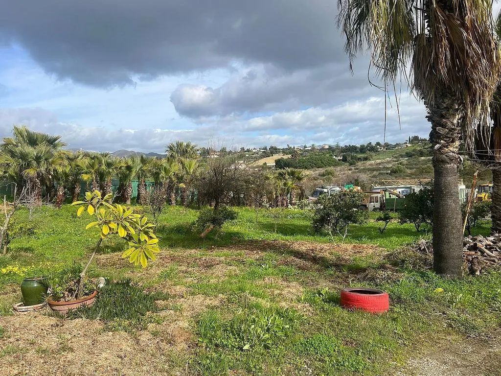 Jardin - Luxury Farmhouse with Pool in Estepona
