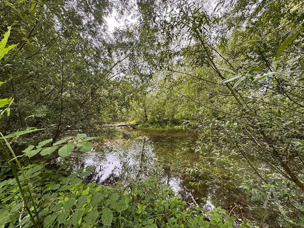 Lakeside Land with Etang near Amiens