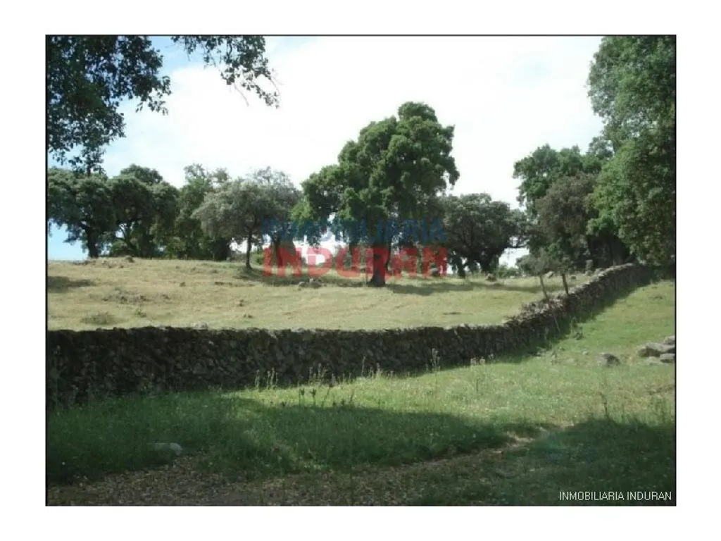 Aed - Luxury Villa with Extensive Land in Cáceres