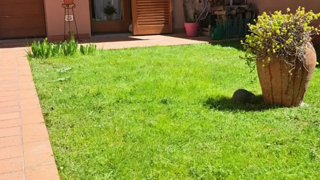 Jardin - Terraced House with Private Garden in Pelago