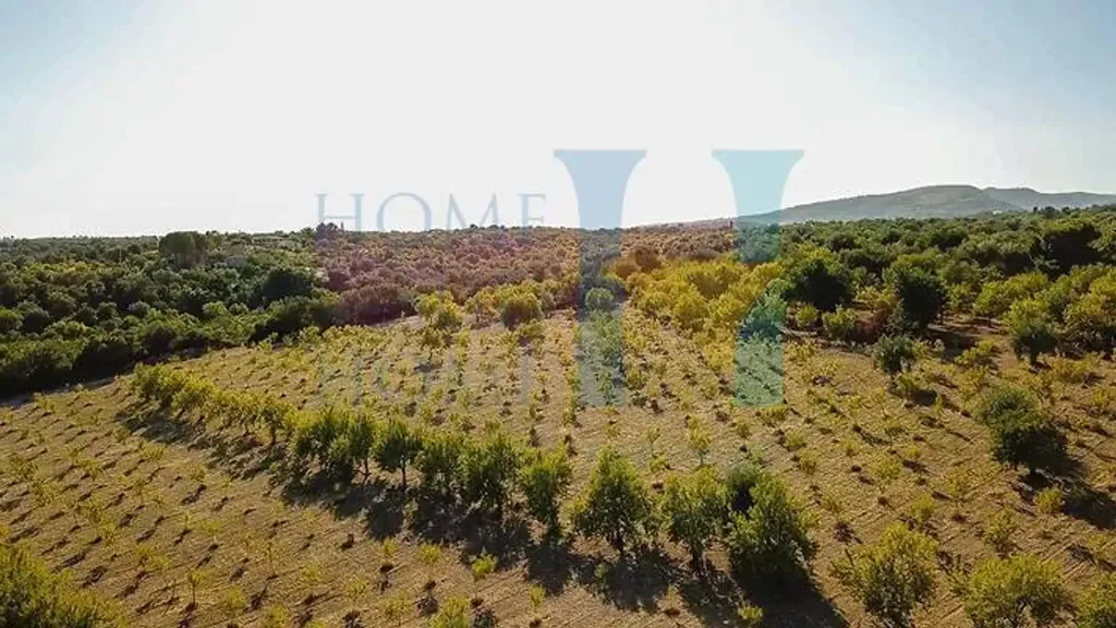 Vue aérienne - Historic Property with Olive Grove in Noto
