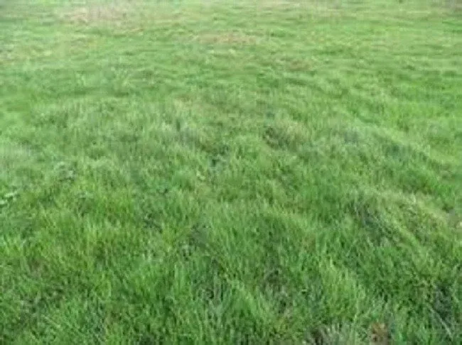 land_plot