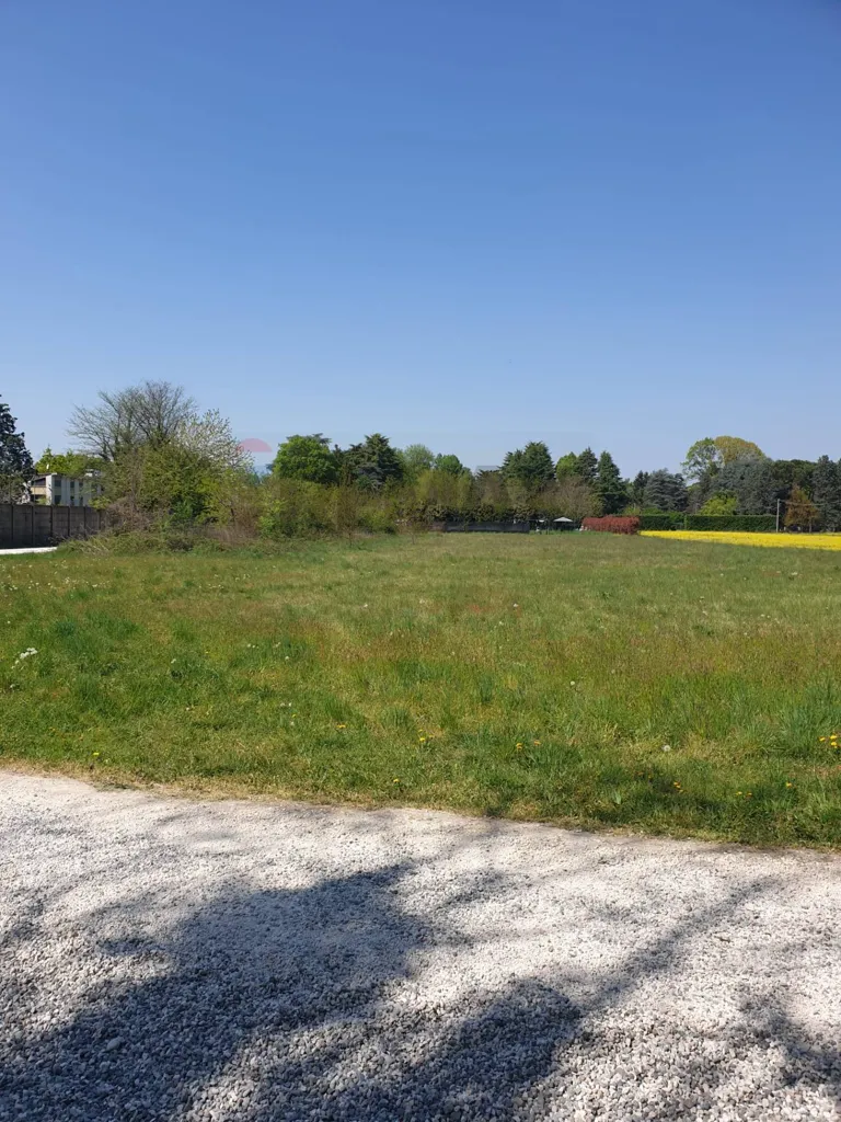 Aed - Agricultural Land with Solar Exposure in Castellanza