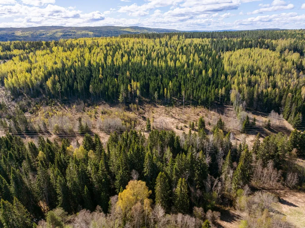 Vista aerea - Unbuilt Land with Forest in Sundsvall