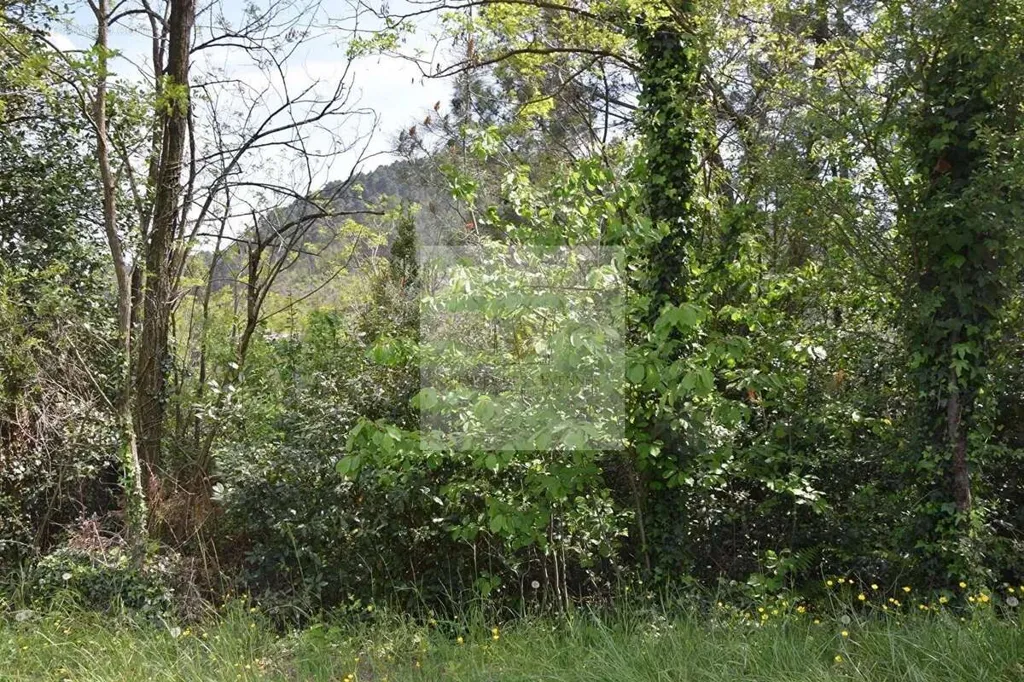 Jardin - Terrain constructible avec vue dégagée